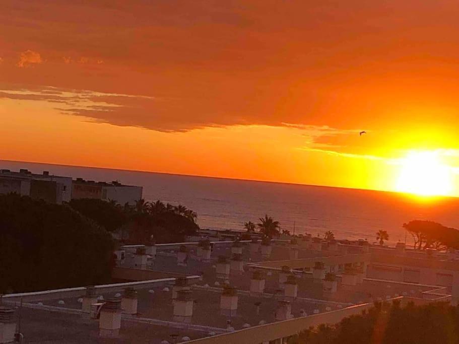 Appartement vue mer au Lavandou Le Lavandou Eksteriør bilde
