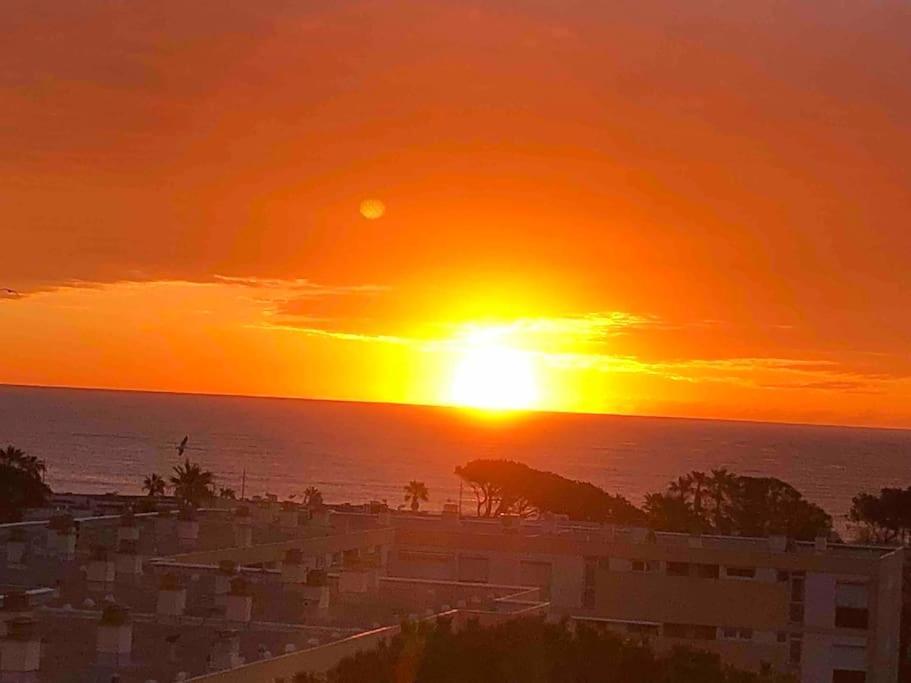 Appartement vue mer au Lavandou Le Lavandou Eksteriør bilde