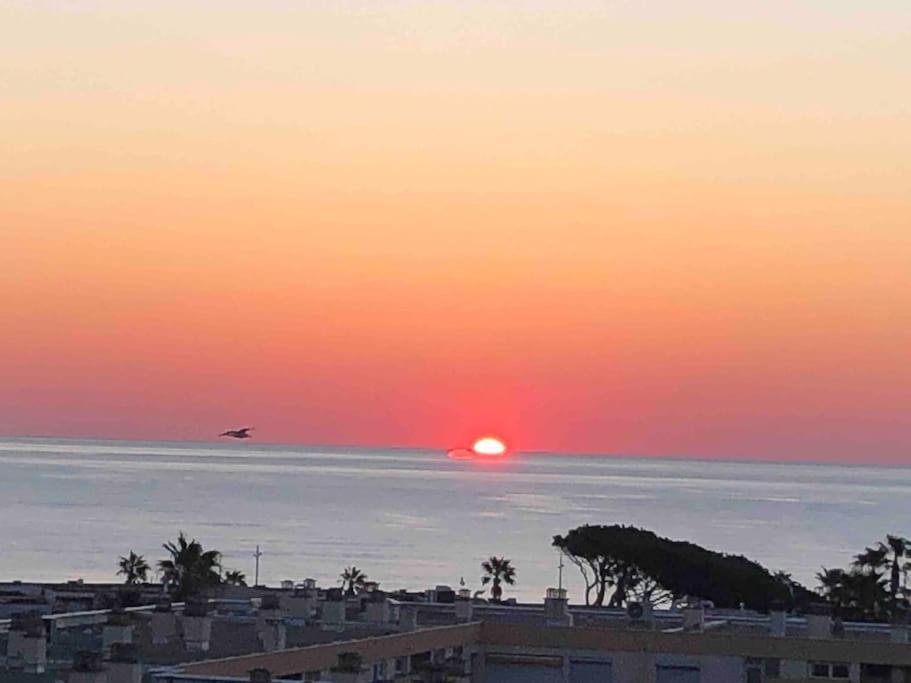 Appartement vue mer au Lavandou Le Lavandou Eksteriør bilde